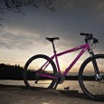 If there’s anything that seems to be right in biking fashion at the moment, it’s 29er mountain bikes. I can’t move for 29er articles, 29 bikes in the local shop...