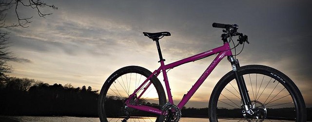 If there’s anything that seems to be right in biking fashion at the moment, it’s 29er mountain bikes. I can’t move for 29er articles, 29 bikes in the local shop...