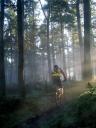 Glentress in the mist. By Addypope (flickr).