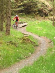 Newcastleton Mountain Bike Trail - The First Descent