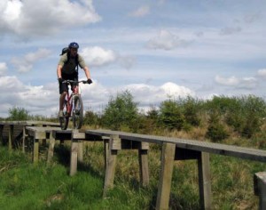 Mountain biker riding along a wooden bridge under a blue sky