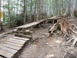 Whistler bike park north shore route