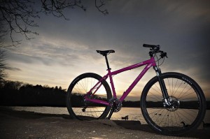 29 bikes: What are the disadvantages for mountain biking?