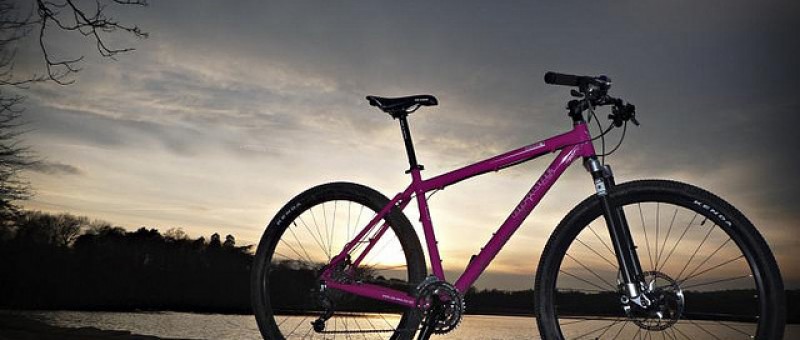 29 bikes: What are the disadvantages for mountain biking?