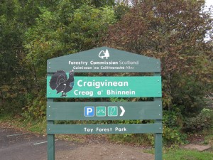 craigvinean forest trails
