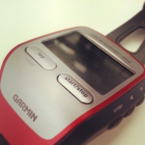 mountain bike gps: garmin forerunner 301