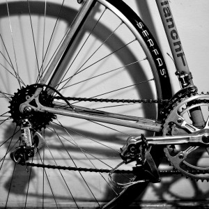 bike wheel spokes