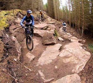 The Golspie highland wildcat trails at their best