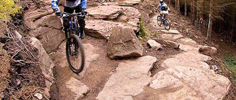 a golspie mountain biking cyclist, riding over rocks