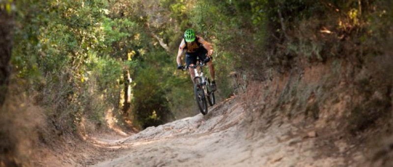 a rider on a flowing trail