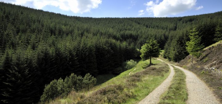 Best MTB Trails in Northern England and Scotland