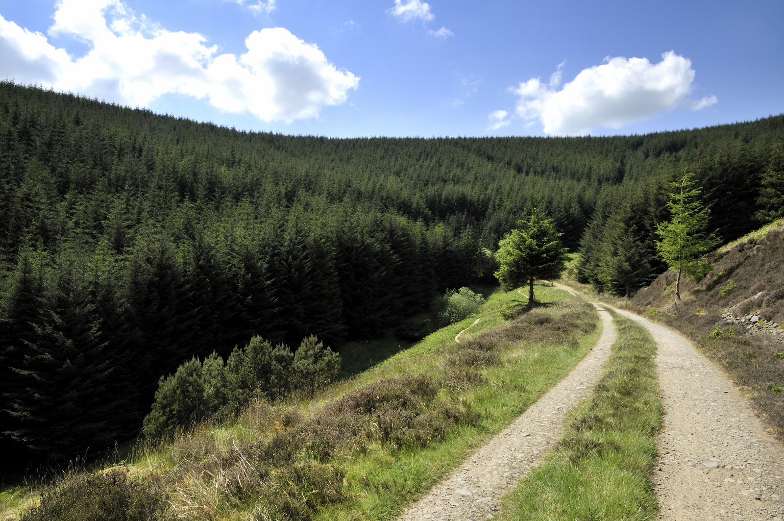 Best MTB Trails in Northern England and Scotland